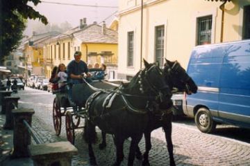 Fiera di San Luca - Carrozza con Cavalli