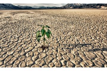 Bando Danni per siccit&#224; eccezionale verificatasi dal 1&#176; maggio al 30 settembre 2022 - Contributi e finanziamenti