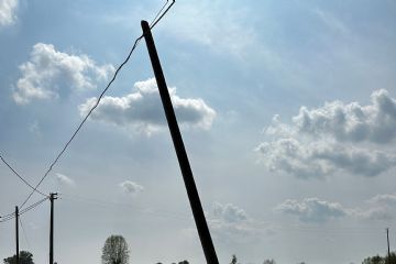 800.41.50.42 - Numero Verde TIM per segnalare pali del telefono pericolanti.